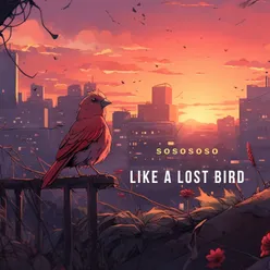 Like a lost Bird