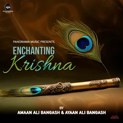 Enchanting Krishna