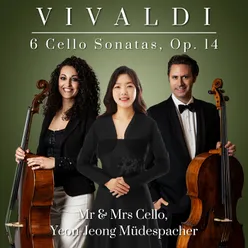 Cello Sonata in A Minor, RV 43: IV. Allegro