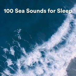 Calm Sea Sounds, Pt. 13