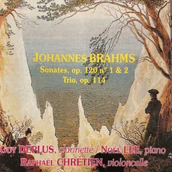 Trio pour piano, clarinette et violoncelle, Op. 114: II. Adagio