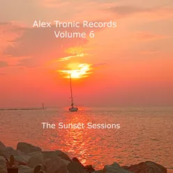 Alex Tronic Records, Vol. 6