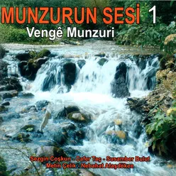 Munzurun Sesi, Vol. 1