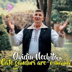 Câte gânduri are-o mamă