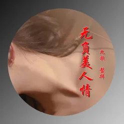 无负美人情