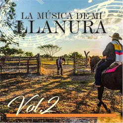 La Música de Mi Llanura, Vol.2