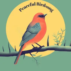 Peaceful Birdsong, Pt. 8