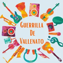 Guerrilla de vallenato