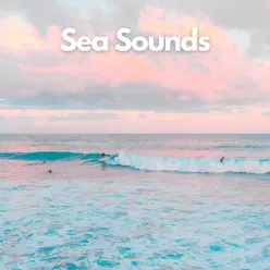 Seashore Sonata