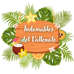 Indomables del Vallenato