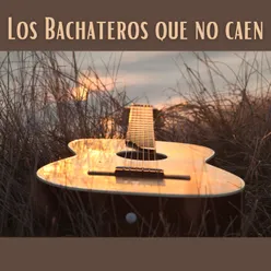 Los bachateros que no caen