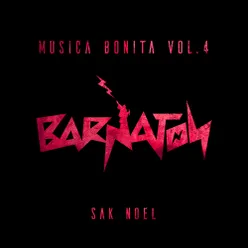 Musica Bonita, Vol. 4