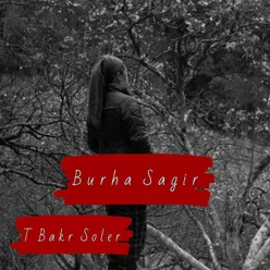 Burha Sagir