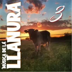 Música de la Llanura 3