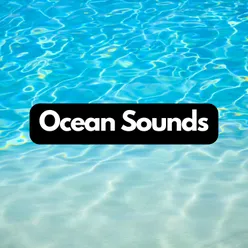 Oceanic Overtures: Calming Sea Tunes