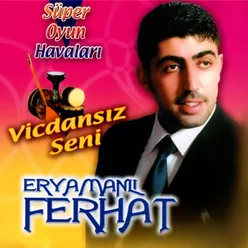 Vicdansız Seni