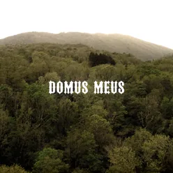 Domus Meus