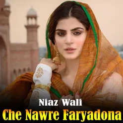 Che Nawre Faryadona