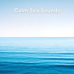 Calm Sea Sounds, Pt. 17