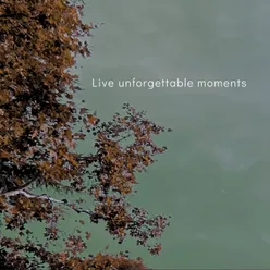 Live unforgettable moments