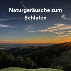 Naturgeräusche zum Schlafen, Pt. 2