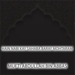 Hain Nabi Kay Sahaba Baray Mohtaram