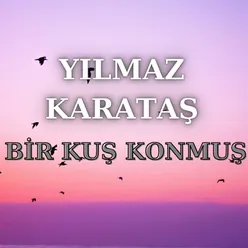 Bir Kuş Konmuş