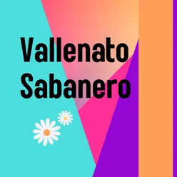 Vallenato Sabanero