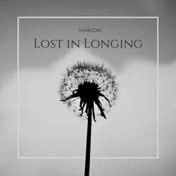 Lost in Longing