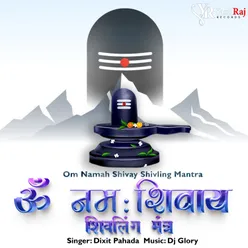 Nageshwaray Shiv Nageshwaray Har Har Bhole Namah Shivay