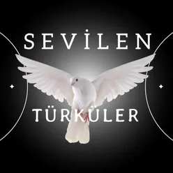 Sevilen Türküler