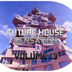 Future House Sensation, Vol.13
