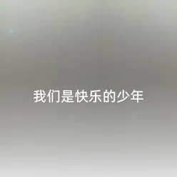 我们是快乐的少年