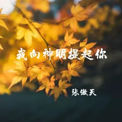 我向神明提起你