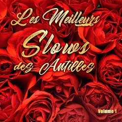 Les Meilleurs Slows Des Antilles, vol. 1