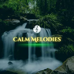 Calm Melodies