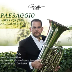 Divertimento für Tuba, Harfe und Orchester: II. Paesaggio