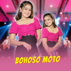 Bohoso Moto