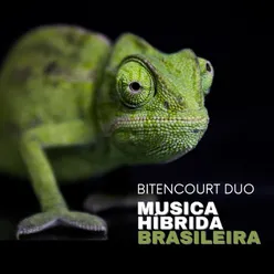 Musica Híbrida Brasileira
