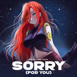 Sorry (For You)