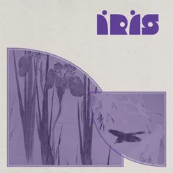 Íris