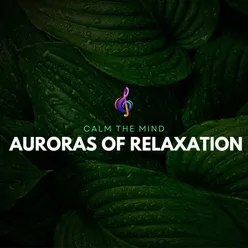 Auroras of Relaxation