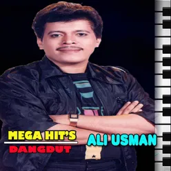 MEGA HIT'S ALI USMAN