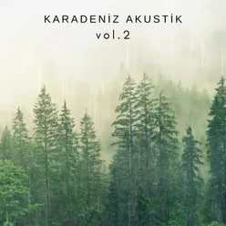 Karadeniz Akustik, Vol .2