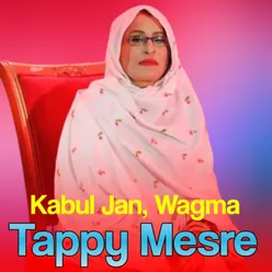Tappy Mesre