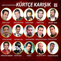 Kürtçe Karışık