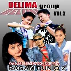 Lagu Kocak Delima Gruop, Vol. 3