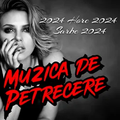 PROGRAM ALBUM MUZICA DE PETRECERE 2024 Colaj Muzica de Petrecere NOU 2024