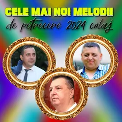 COLAJ MUZICA DE PETRECERE PENTRU SOFERI