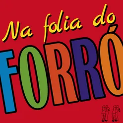 Festa do Boi